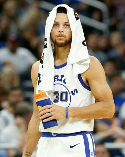 照市在承办 照市在承办